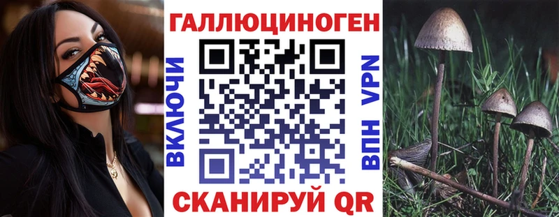 Галлюциногенные грибы Cubensis  цена   Апшеронск 